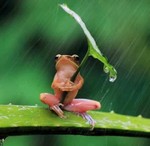 Avatar de l’utilisateur